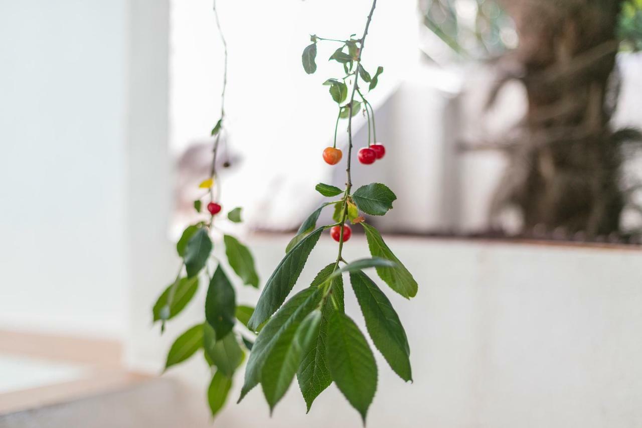 Fragrant Garden Apartment Lisboa Kültér fotó