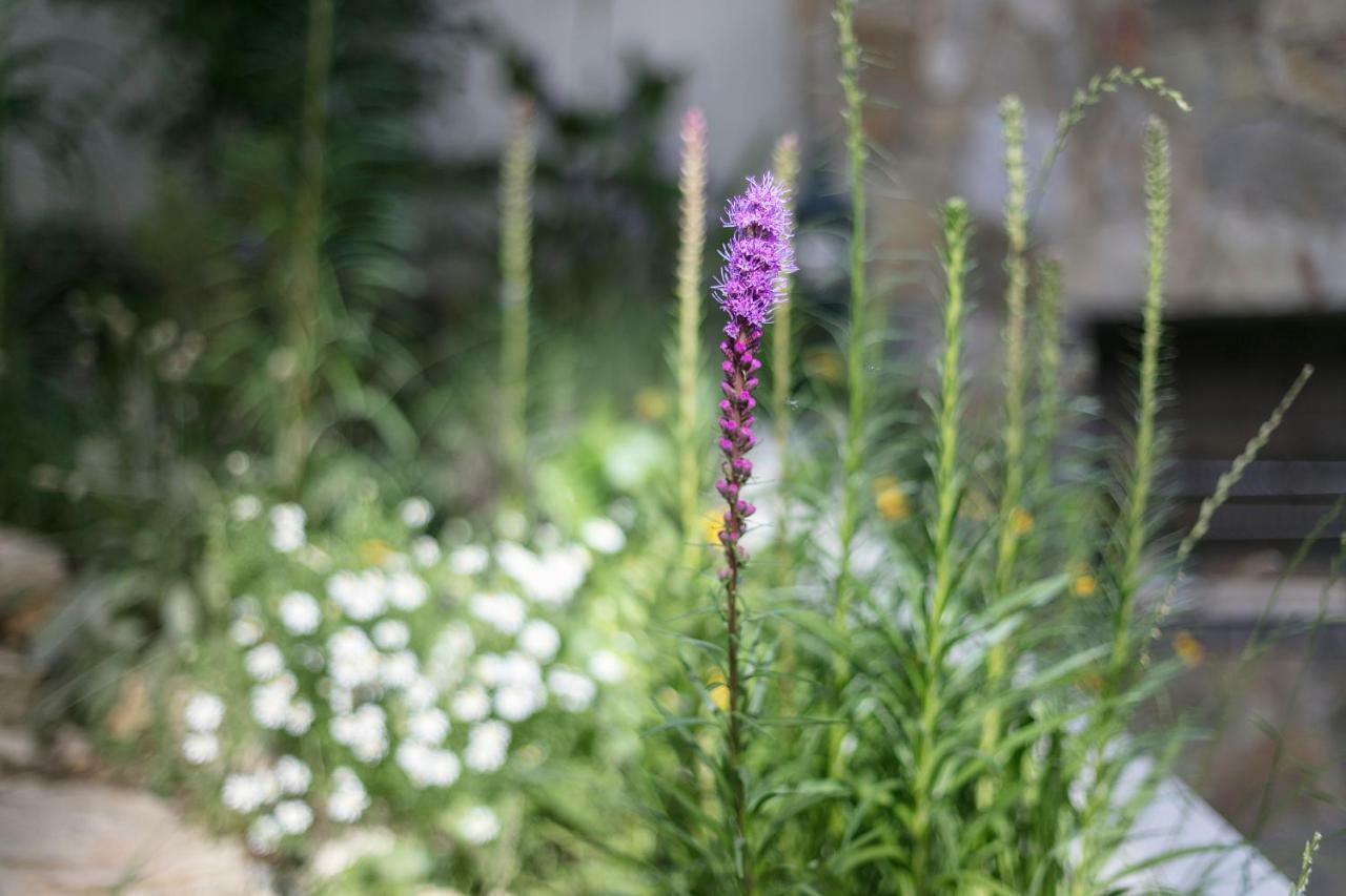 Fragrant Garden Apartment Lisboa Kültér fotó